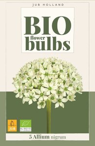 Bio allium nigrum 5 bollen