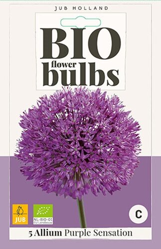 Bio allium purple sensation 5 bollen - afbeelding 1