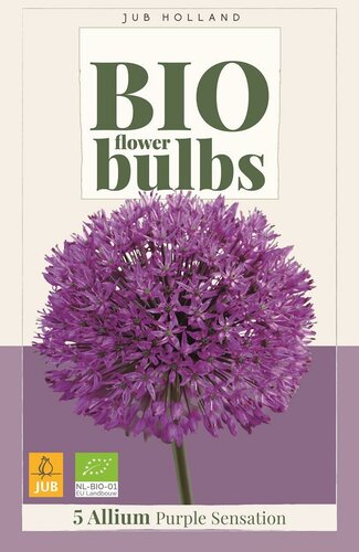Bio allium purple sensation 5 bollen - afbeelding 1