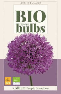 Bio allium purple sensation 5 bollen