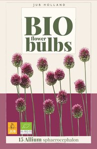 Bio allium sphaerocephalon 15 bollen