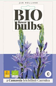 Bio Camassia Leichtlinii Caerulea 2 bollen - afbeelding 1