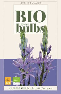 Bio Camassia Leichtlinii Caerulea 2 bollen