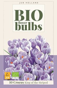 Bio crocus king of the striped 10 bollen - afbeelding 1
