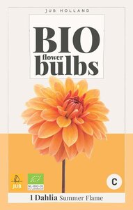 BIO Dahlia Summer flame