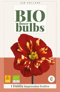 Bio dahlia impression festivo - afbeelding 1