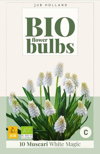 Bio muscari white magic 10 bollen - afbeelding 1