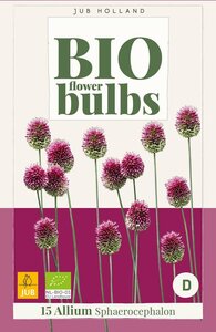 Bio allium sphaerocephalon 15 bollen - afbeelding 2