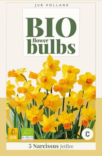 Bio narcis jetfire 5 bollen - afbeelding 1