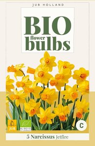 Bio narcis jetfire 5 bollen - afbeelding 3