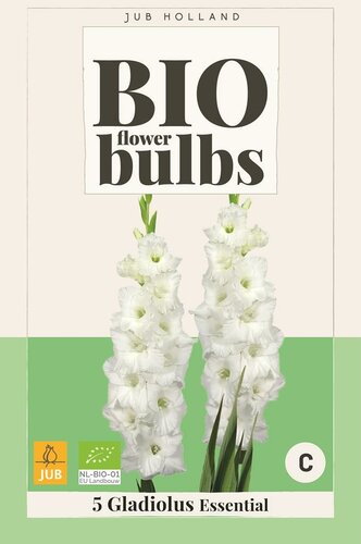 Bio gladiool essential - afbeelding 1