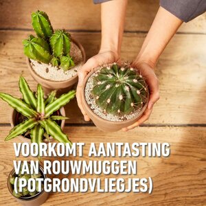 Compo bio granuplant cactus & vetplanten 3 liter - afbeelding 3