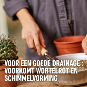 Compo bio granuplant cactus & vetplanten 3 liter - afbeelding 4