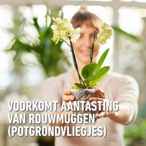 Compo bio granuplant orchidee 3 liter - afbeelding 4