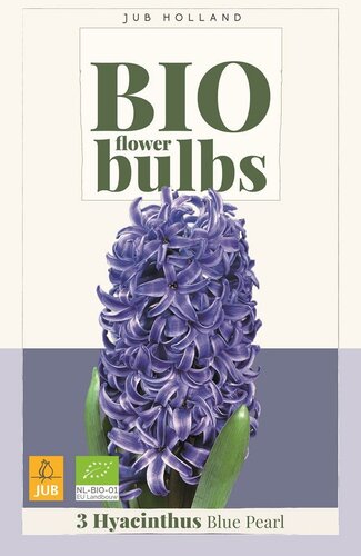 Bio Hyacint blue pearl 3 bollen - afbeelding 1