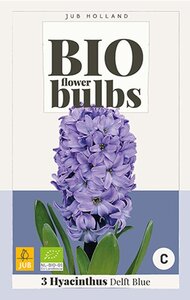 Bio hyacint delft blue 3 bollen - afbeelding 2