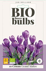 Bio krokus Grand Maitre 10 bollen - afbeelding 2