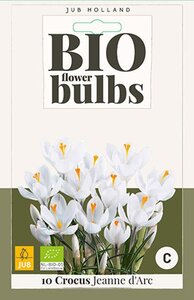 Bio krokus jeanne darc 10 bollen - afbeelding 3