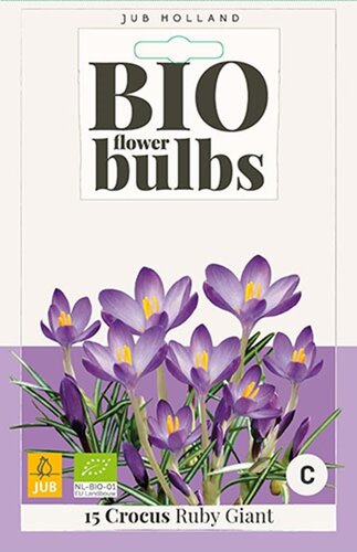 Bio krokus Ruby Giant 15 bollen - afbeelding 1