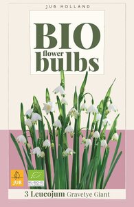 Bio leucojum gravetye giant 3 bollen