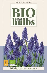 Bio muscari armeniacum 10 bollen
