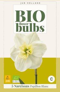 Bio narcis papillon blanc 5bollen - afbeelding 2