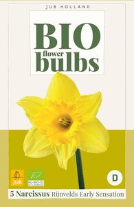 Bio narcis rijnvelds early sensation 5 bollen - afbeelding 2