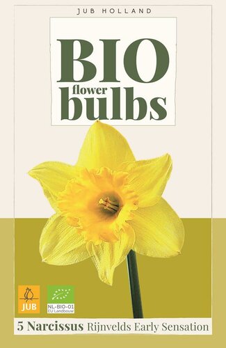 Bio narcis rijnvelds early sensation 5 bollen - afbeelding 1