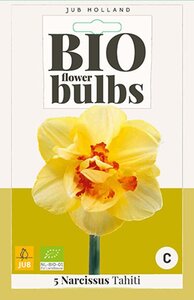 Bio narcis Tahiti 5 bollen - afbeelding 2