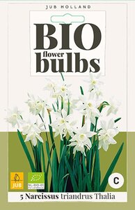 Bio narcis Triandrus Thalia 5 bollen - afbeelding 1