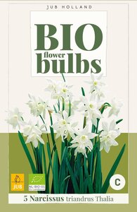 Bio narcis triandrus thalia 5 bollen - afbeelding 3