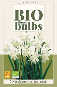 Bio narcis triandrus thalia 5 bollen
