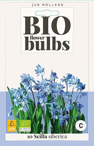 Bio scilla siberica 10 bollen oud