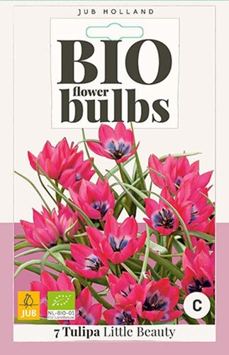 Bio tulp Little Beauty 7 bollen - afbeelding 1