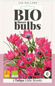 Bio tulp Little Beauty 7 bollen - afbeelding 1