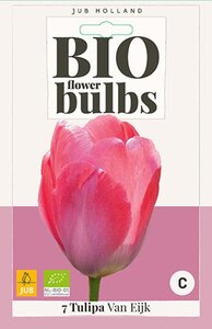 Bio tulp van Eijk 7 bollen