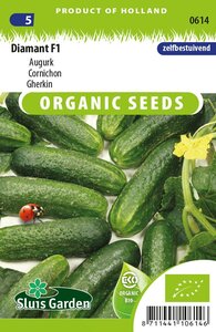 Biologische Augurken zaden Diamant F1 online bestellen
