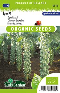 Biologische Spruitkool zaden Igor F1