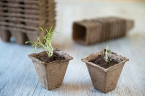 Biopotjes 8 cm set 14 stuks - afbeelding 2