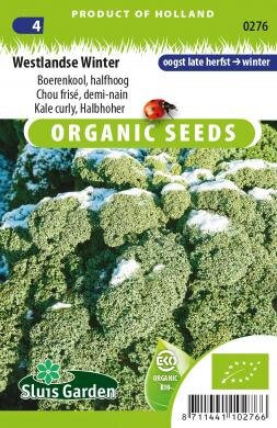 Boerenkool Westlandse Winter BIO