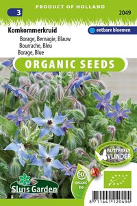 Borage blauw, komkommerkruid Borago officinalis BIO