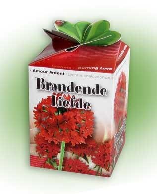 Brandende Liefde Greengift