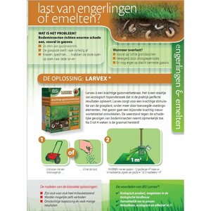 Bsi Larvex emelten en engerling 6 kg - afbeelding 2