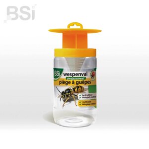 BSI wespenval
