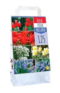 Bulbs from holland 125 bollen - afbeelding 2