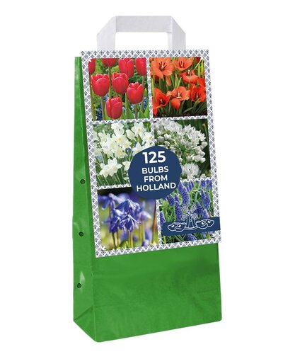 Bulbs from holland 125 bollen