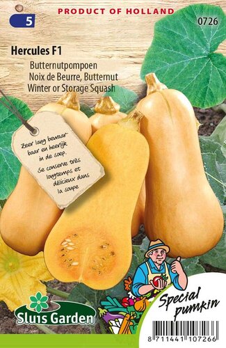 Butternutpompoen zaden Hercules F1