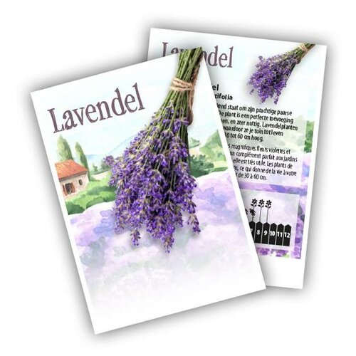 Cadeau premium Lavendel (100 zakjes)