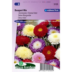 Callistephus Chinensis zaden Bouquet aster mix