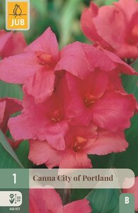 Canna city of Portland